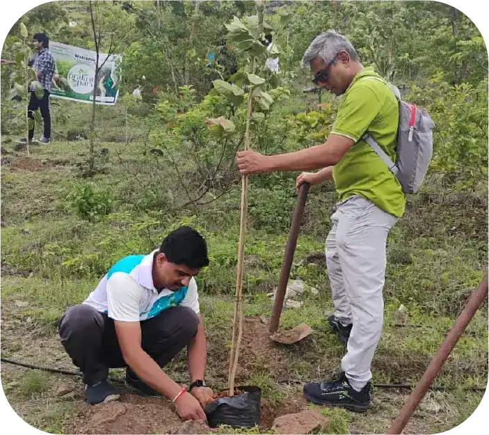 Group planting trees together on hillside plantation site